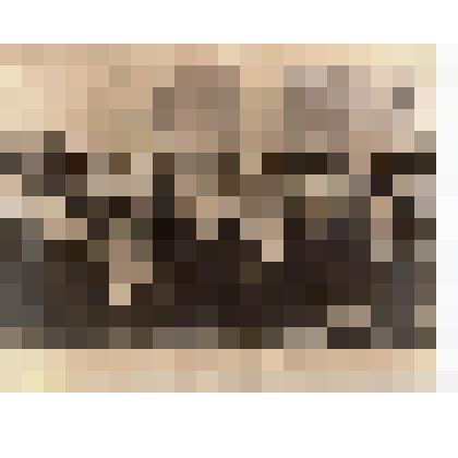 Ф/чб. Брагазин М.А., делегат Энгельсского РК КПСС среди участников Всероссийского совещания по дорожному строительству. Москва. Февраль 1965 г