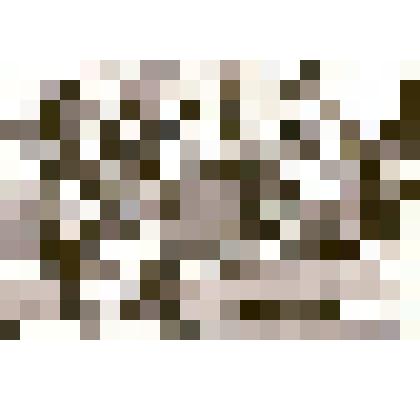 Рисунок «Шахматы»