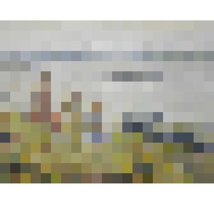 "Над Волгой" Картина