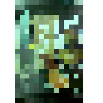 Афиша к спектаклю Государственного академического театра драмы им. В.Савина «Хроники Савина» Е.Софронова. К 125-летию со дня рождения Виктора Савина