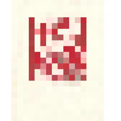 Экслибрис "PAOLO DALRI"