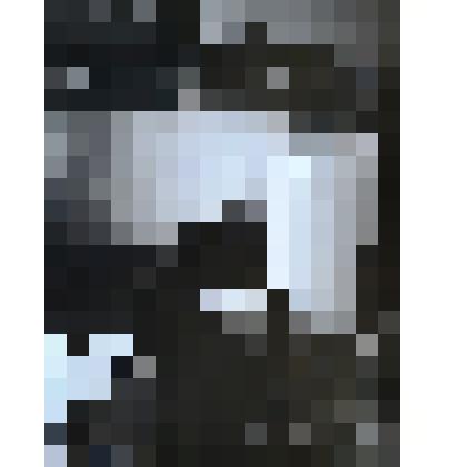 Фотография. Шукшин Василий Макарович (1929-1974) за работой