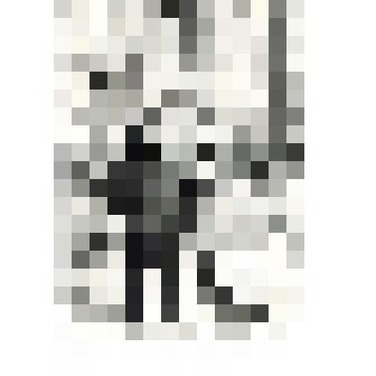 Фото в рост с собакой 1980 г. с.Грязное