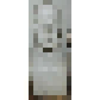 Портрет архитектора Свирского