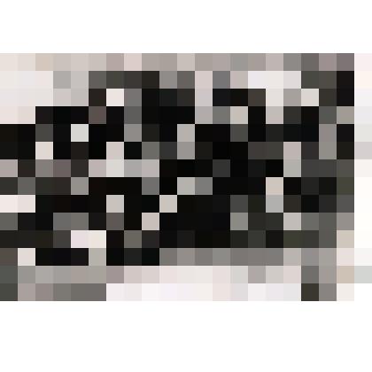 Фотография. Командный состав 25-й стрелковой дивизии после взятия Уфы