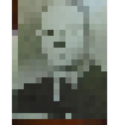 Фотография. Козлов Георгий Александрович