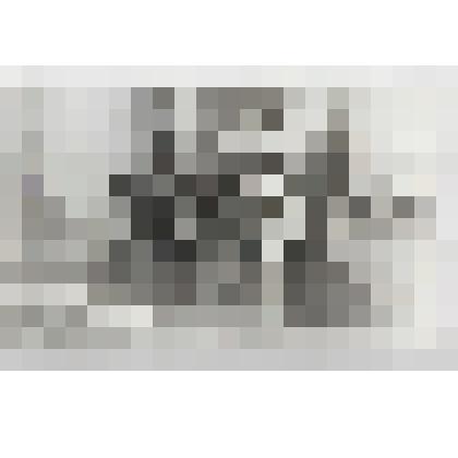 Фотография. Почётные граждане г. Жигулевска