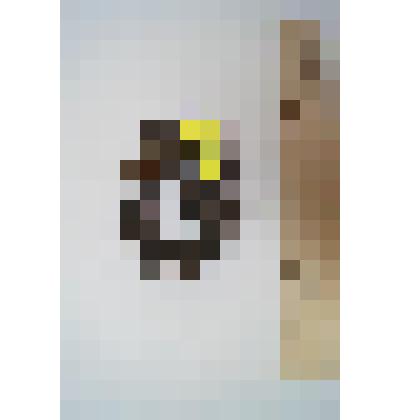 Кожаный сапог. Фрагмент