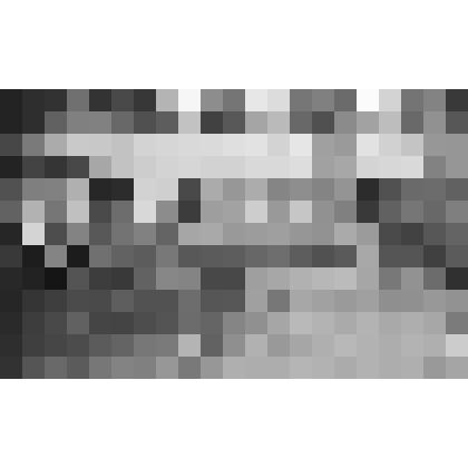 Фото групповое