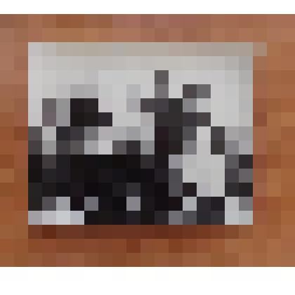 Фотография: бригада коммунистического труда совхоза Рыбинский Каменского района Алтайского края