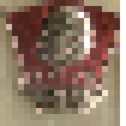 Значок нагрудный члена ВЛКСМ "Ударник. 1976" в виде развернутого вправо от древка знамени; золотистого, рубиново-красного цвета; с булавочным креплением. Из коллекции по теме "Комсомол"