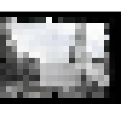 Негатив. Комплекс "Красные ворота" государева двора. Село Коломенское