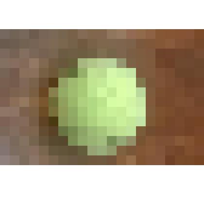 Мяч теннисный Цивилева В.Г. использовался в игре в середине 1990-х годов