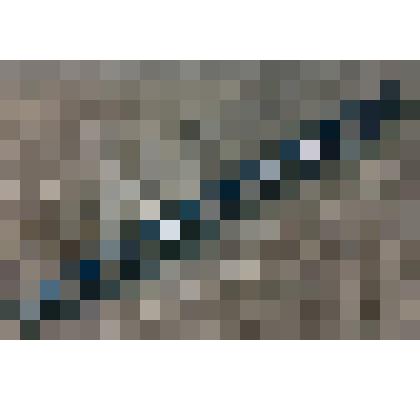 Авторучка Палькина Н.Е