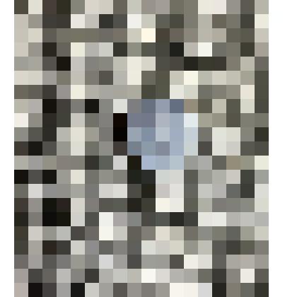 Монета достоинством 1 шекелей