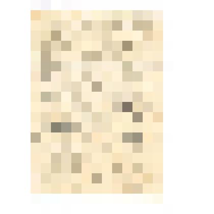 Документ. Письмо с фронта Пантелеева Н.Н. родителям. 07.11.1942