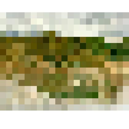 Художники на этюдах