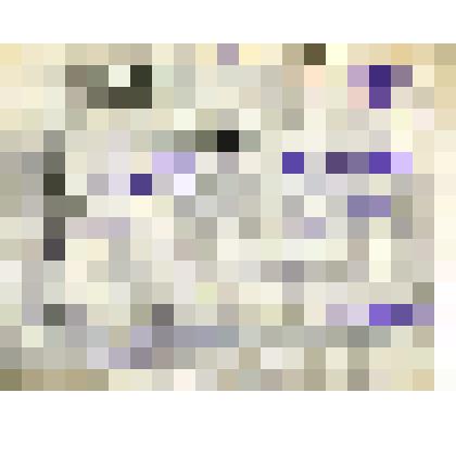 Талон к путевке в дом отдыха Кийский