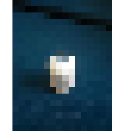 Гиря весовая - торговый разновес бочкообразной формы белого цвета весом 50 г., фабричное производство, номинал и рисунок поверительного клейма нанесены вручную темно-синей надглазурной керамической краской с помощью штампа, массовое фабричное производство