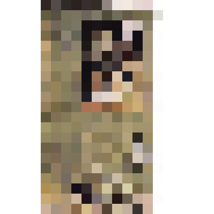 Репродукция с картин