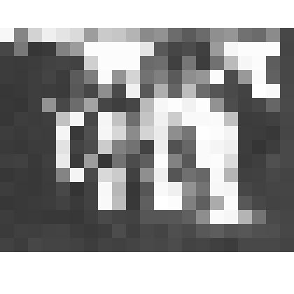 Петергоф. Нижний парк. Эрмитаж. Перепечатка с негатива кон.XIX-нач.ХХ вв