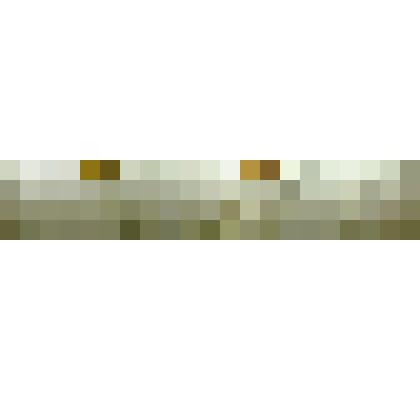 Барельеф. Фауна раннепалеозойского моря