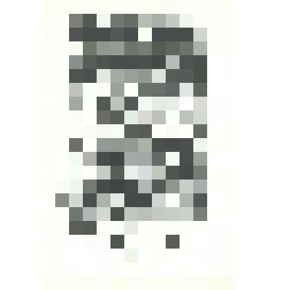 Экслибрис «Из книг Лидии Писаревой».1977