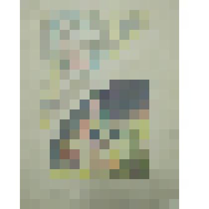 Орнаменты. Проекты косынок. Рисунок