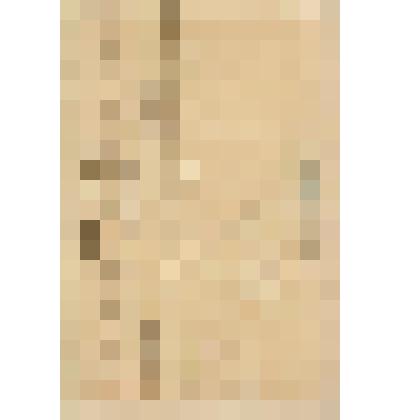 Документ. Список наградам испрашиваемым за служебные отличия по Министерству Внутренних Дел по Пермскому Почтово-Телеграфному Округу