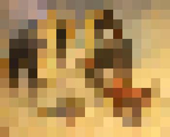 Филимонов В.П. "Оно пойти куда конечно коли ежели чего"