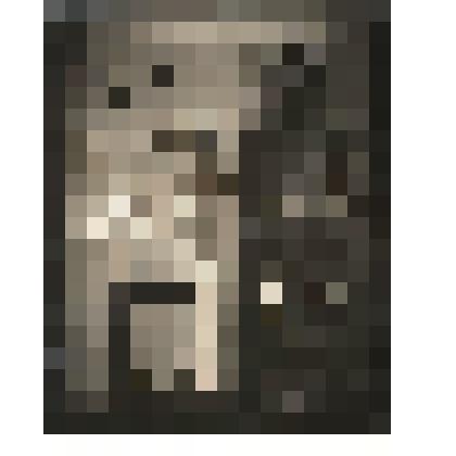 Ф/чб. Экспозиция Центрального музея АССР НП: отдел природы (витрина с чучелами животных и птиц, витрина с 2 крупными яйцами птицы, на стене: карты, иллюстрации). Энгельс. 1941