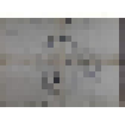 Эстампаж. Жуковина амбара. 
Вып. Бастрыкин. 
Шифр документа Б-9