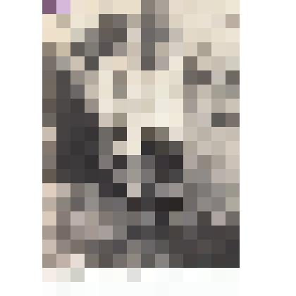 Ф/чб. Детский сад завода "Коммунист" г. Марксштадт. Дети на велосипедной прогулке. АССР НП. 1937