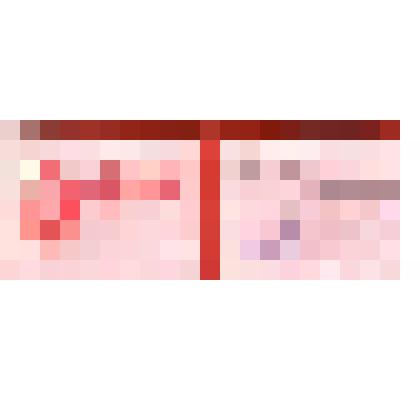 Удостоверение ударника коммунистического труда от 22 января 1981 г. Кугушева Николая Ильича