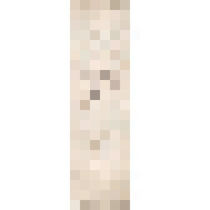 Книжка Чердынского купца Василия Осиповича Алина. На отправленный из Чердыни в Нижегородскую ярмарку пушной товар в 1906 году