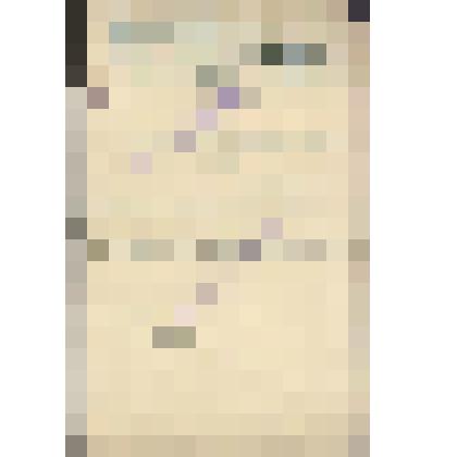 Документ. Образец бланка генерального полиса Страхового Товарищества "Саламандра"  по страхованию ценностей, перевозимых по почте