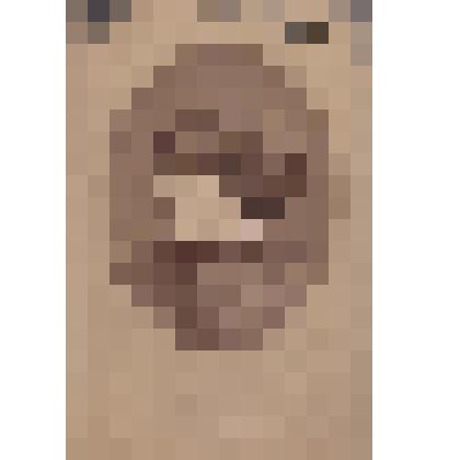 Енисейский золотопромышленник Востротин Степан Васильевич