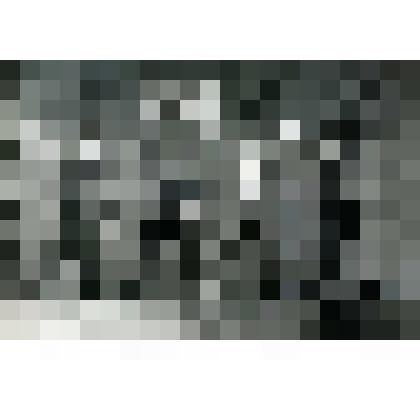 Фотография. СГПТУ - 55. Экскаваторщики