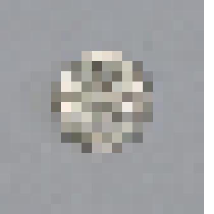 Монета 5 бани 1993 г. Молдова