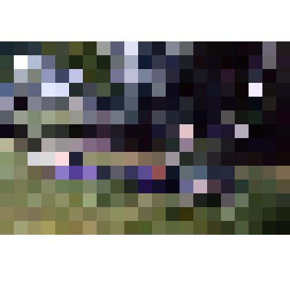 Диапозитив. (398)