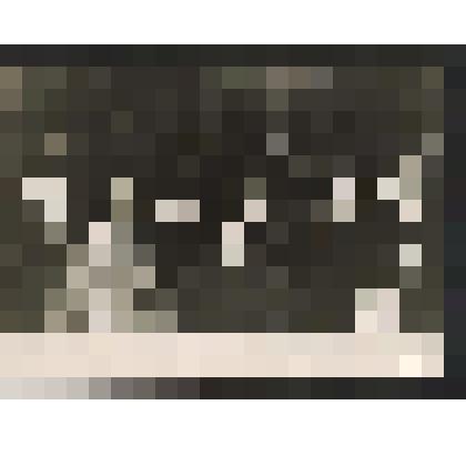 Фотография. Заседание районного партактива