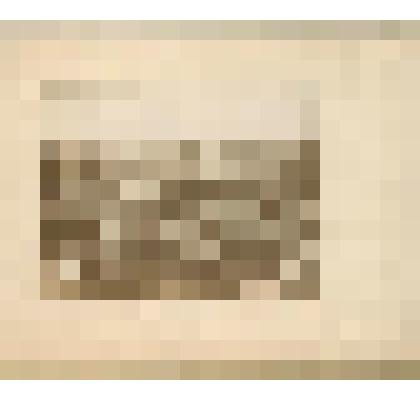 Фотография черно-белая. Панорама города с Тихвинской церкви в сторону Иерусалимской горы