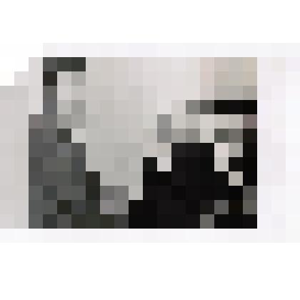 Фотография. Вручение юбилейной медали