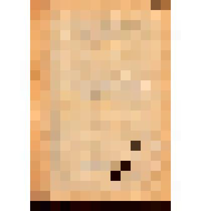 Материал по инвентаризации имуществ г. Энгельса с перспективными данными горплана по развитию городского хозяйства и официальная часть. Приложение. Том 3. Саратовский краевой государственный НИИ градостроительства "Крайгипрогор"