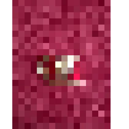 Значок с изображением головы В.И.Ленина