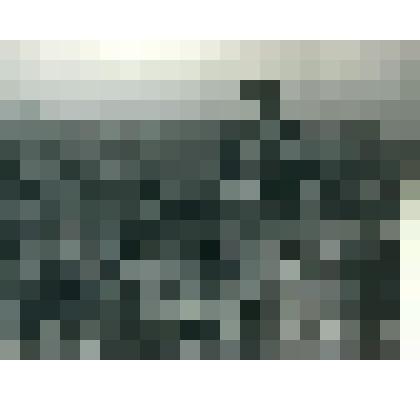 Фотография Уборка моркови. Звеньевая В.В. Ершова. Лист 15