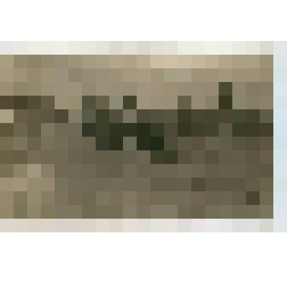 Фотография групповая. В.И. Ленин в группе делегатов II конгресса Коминтерна на площади Жертв революции