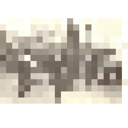 Фотография: первомайская демонстрация в г.Камень-на-Оби Алтайского края. Делегация Каменского авторемонтного завода