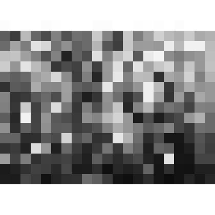 Фотография. Птенец