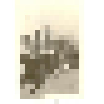 Фотография: демонстрация 1 мая 1960 года в г.Камне-на-Оби